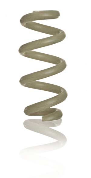 Sogefi Composite spring_sm